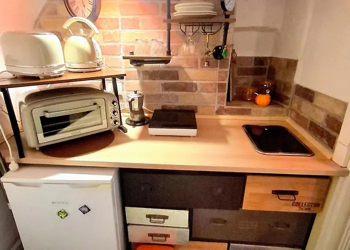 Apartman Tiny Studio, Rustic Style, Historic Center