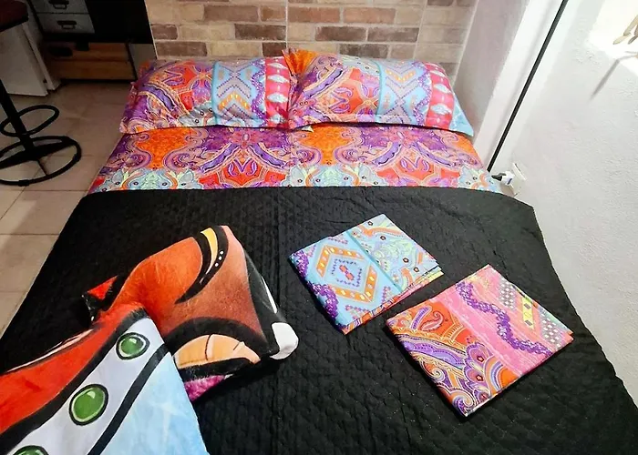 Apartman Tiny Studio, Rustic Style, Historic Center